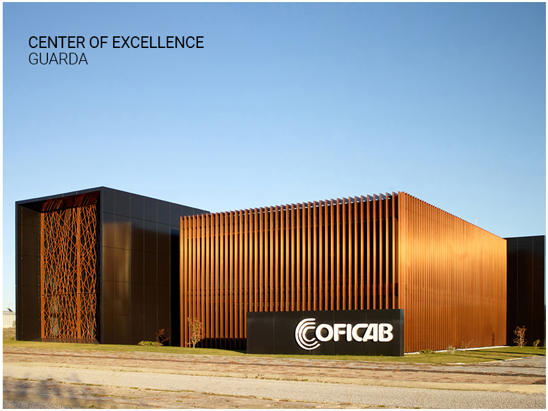 Center of Excellence